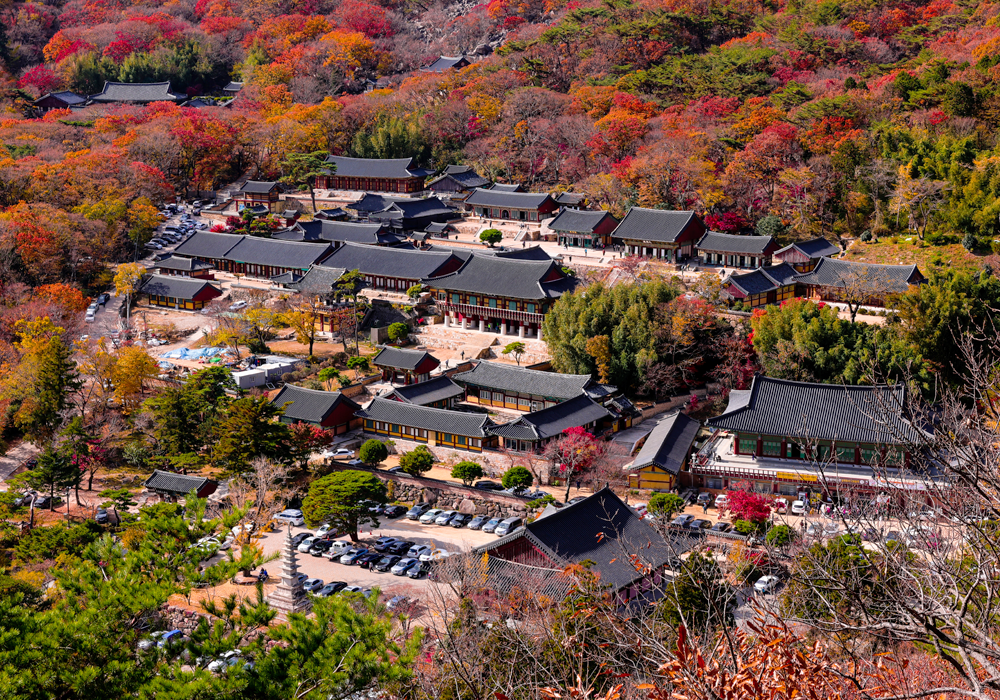 Beomeosa Temple (Temple Stay)